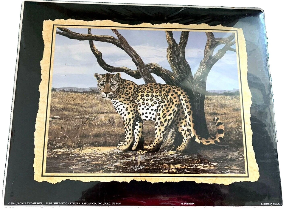 Frederick Douglass 1995 Stamp Design 8x10 Print USPS 2975h Civil War Series