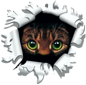 Aufkleber Einschussloch 170 mm Motiv Katze Sticker Tattoo Styling  Motorrad - Bild 1 von 1