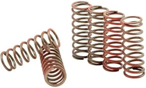 Kit de resorte de embrague Hinson CS095-5-001 de alta temperatura - Imagen 1 de 2