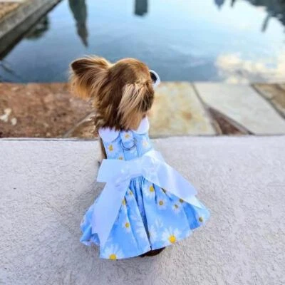 Blue Daisy Dog Dress with Matching Leash  XS-S-M-L-XL - Image 1 of 4