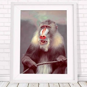 AFRICA SEPIA -Mandrill Monkey Poster Picture Print Sizes A5 to A0 *FREE DELIVERY - Picture 1 of 14