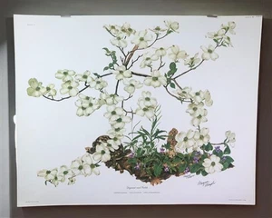Maryrose Wampler, Dogwood & Violets, Signed Print, 28x22, Wall Art, Plate 5 - Picture 1 of 9