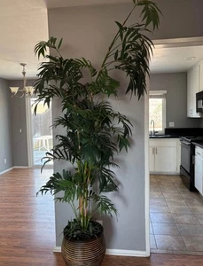 Künstliche Palme 6ft - Bild 1 von 1