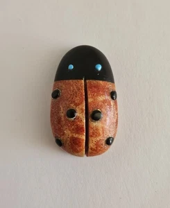 De Colección Ladybug Nativo Zuni Fetiche Tallado Coral Jet Turquesa por Reynold Lunasee - Imagen 1 de 4