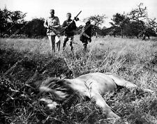 crp-41828 1964 sports hunting Lee Wulff, Tony Archer African safari felled lion