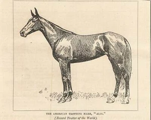 Caballo American Trotter Bay Mare Alix 1894 poseedor del récord mundial de millas más rápidas - Imagen 1 de 2