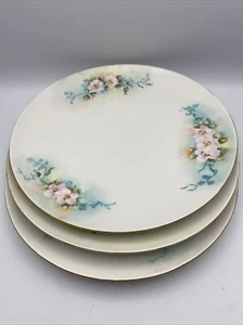 3 Hutschenreuther Selb Plates Bavaria Hand Painted Floral Vintage Porcelain - Picture 1 of 12
