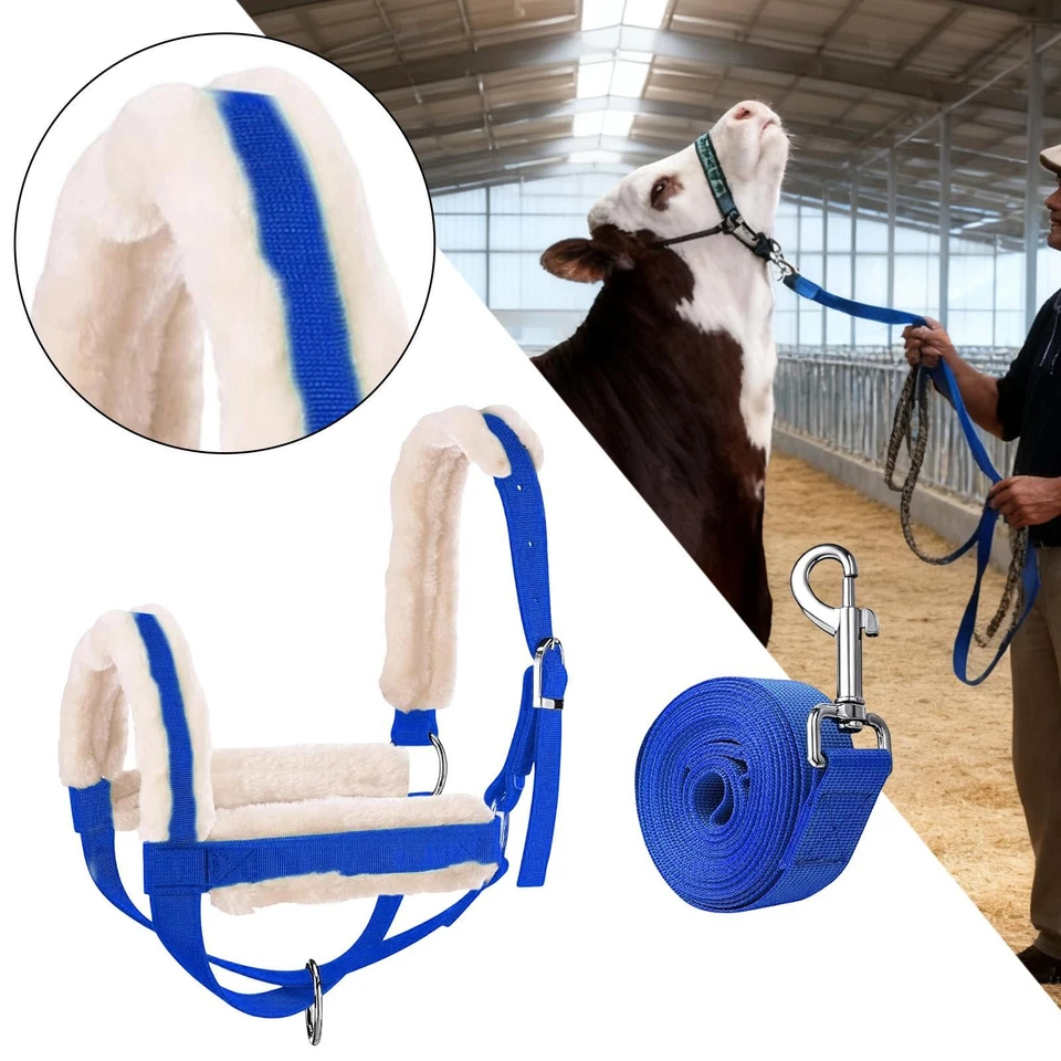Halter de Vaca con Cuerda, Ajustable, Entrenamiento Profesional al Aire Libre y Pantorrilla Foto 1 de 1