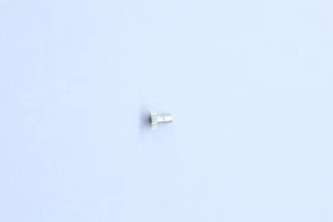 Valgine 1335 Part 245 Chausse Cannon pinion Rocchetto dei minuti - Picture 1 of 1