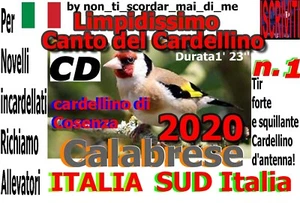 IL CANTO DEL CARDELLINO DI COSENZA CALABRESE NUOVO 2023 CD E USB - Imagen 1 de 1