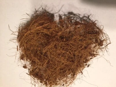 GAPS Coconut Husk Fiber - Great for Orchid Potting Mix (5 oz) - Image 1 of 3