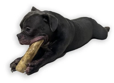 环保咖啡木咀嚼棒-耐用天然狗玩具 — 第 1/4 张图片