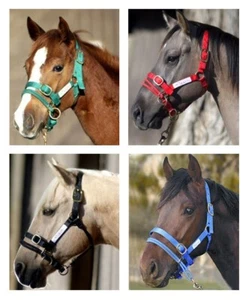 All Sizes Monty Roberts Dually Halter and Monty Roberts Lead/Long Lines/Bits - Picture 1 of 18