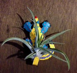 Tilla Critters Karma Chameleon One of a Kind Air Plant Creations from Chili Fi.. - Picture 1 of 1