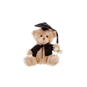 Graduation Teddy Bear With Hat small 6"/15cm Graduation Soft Toy - Picture 1 of 3