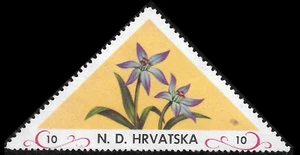 Anti-Comunist CROATIA Exile 1952 ND Hrvatska 10 MNH OG VF PERF.🔥WILD FLOWERS - Picture 1 of 1