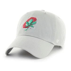 Ohio State Buckeyes 47 Brand Clean Up Adjustable Hat - Vintage Logo - Grey - Picture 1 of 1