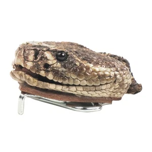 Echte Taxidermie Klapperschlangenkopf Gürtelschnalle echte Schlangenhaut Stoff Zubehör - Bild 1 von 6