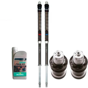 CARTUCCIA FORCELLA MATRIS F15K REGOLABILE MOTO GUZZI V7 850 SPECIAL/STONE 21-24 - Imagen 1 de 2