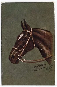 Horses Heads Series Tuck Old Horse Animal Art Postcard from 1927 - Picture 1 of 1