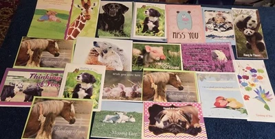 Lote de 20 Asst.  Cartões comemorativos de amizade ANIMAL Thinking of You ótimos designs - Imagem 1 de 2