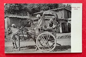 AK INDIEN um 1905 Typen Jangal Jani    ( 124451 - Bild 1 von 2