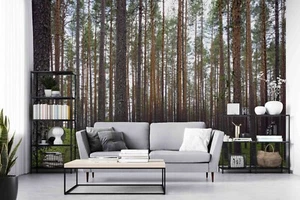 3D Forest Self-adhesive Removeable Wallpaper Wall Mural - Picture 1 of 9