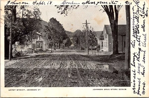 Street View Postcard Depot Street Johnson VT Vermont Johnson Drug Store Series - Picture 1 of 2