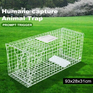 Extra Large Humane Animal Trap Cage Possum Fox Koala Rabbit Bird Cat Live Catch - Picture 1 of 12