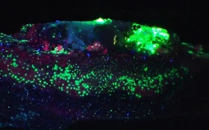 SELTENE REMONDIT Kristalle UV feines Mineral Präparat Mont Saint Hilaire KANADA - Bild 1 von 5