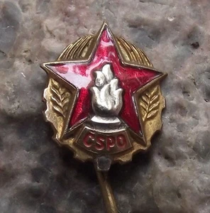 CSPO Tschechische Feuerwehr Union Feuerwehrmann Rettungsdienst Flammen & Stern Pin Anstecker - Bild 1 von 2