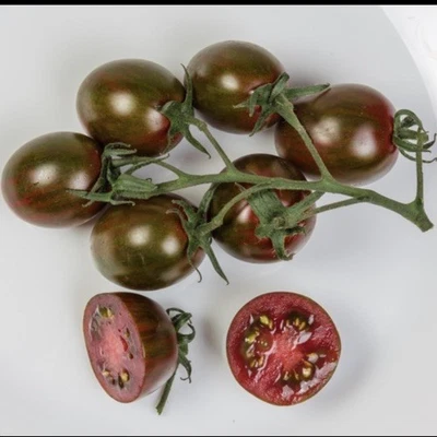 Grape Kumato Tomato 50 Seeds – Sweet Rich Flavour | Heirloom Variety - Image 1 of 4