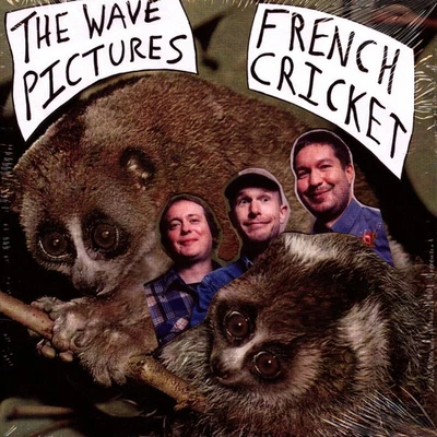 Wave Pictures - French Cricket (Vinyl 2x7" - 2022 - Original) - Bild 1 von 2