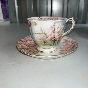 Vintage Royal Albert BLOSSOM TIME Tea Cup and Saucer, Bone China, England - Picture 1 of 10