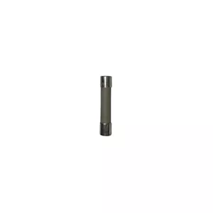 Fusible Miller 169296 Mintr Gl 25. Amp 125 voltios paquete de 5 - Imagen 1 de 1