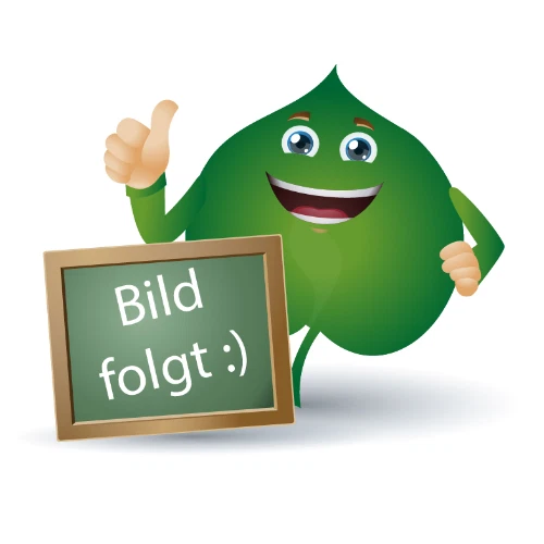 STADA CONSUMER HEALTH DEUTSCHLAND GMBH SILOMAT DMP intensiv gegen Reizhusten Hartkapseln 12 St PZN06569161