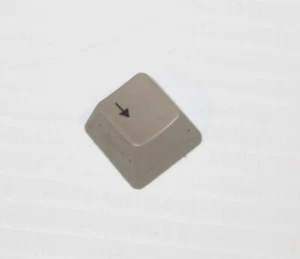 Vintage Apple IIe A2S2064 Desktop Part Genuine Keyboard Key Keycap Down Arrow - Picture 1 of 3