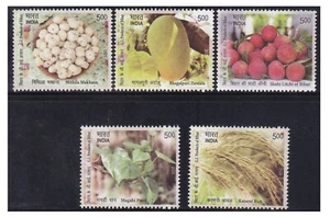 India 2025 Bihar GI Tag Fruit Plant Cuisine Gastronomy Mango Rice Stamps 5v MNH - Picture 1 of 3