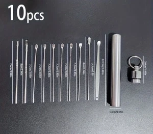 10 pcs Ear Pick Ear Cleansing Tool Set Ear Curette Earwax Removal Kit Silver - Picture 1 of 3