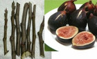 6 pc CUTTINGS ORIGINAL BLACK MADEIRA Ficus carica fig tree Figo Preto scion wood