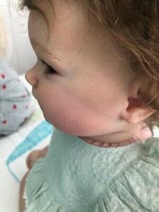 dollfan reborns for sale