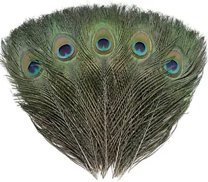 12 PCS Real Natural Peacock Eye Feathers 10-12 inch for DIY Craft, Wedding... - Picture 1 of 9