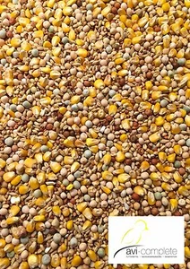 2,5kg Tauben Vogelfutter (2,26€/kg) von avi-complete - Bild 1 von 2