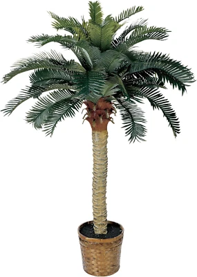 5043 4 pies Palmera de seda Sago, verde, 36X36X48 Foto 1 de 2