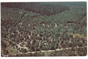 HARTWICK Virgin PINES STATE FOREST Aerial View Grayling Michigan Postcard 1961 - Picture 1 of 2
