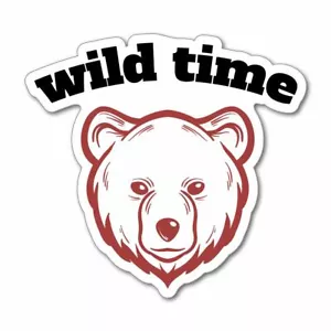Wild Time Sticker Decal Camping Campervan Adventure Outdoors Travel - Picture 1 of 5