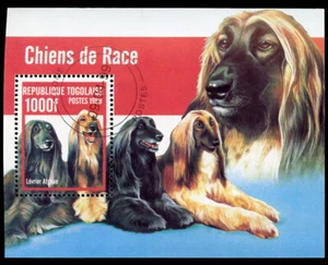 AFGHAN HOUND DOG INTERNATIONAL POSTAGE STAMP MINI SHEET - Togo 1999 "Used" - Picture 1 of 1