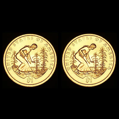 Dólares nativos americanos P+D Sacagawea 2009 ~ Pos aleatoria ~ BU de rollo como nuevo de EE. UU. Foto 1 de 3