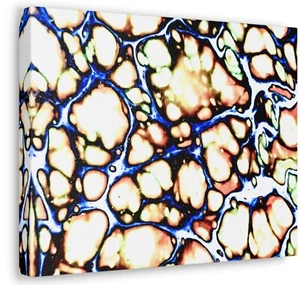 Abstract Painting Print Gallery Wrapped Canvas Acrylic Pour Artist Wall Art #000 - Picture 1 of 13