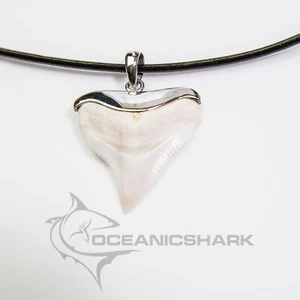 Shark Tooth 92.5 silver infused crafted unique piece s10 - Picture 1 of 6